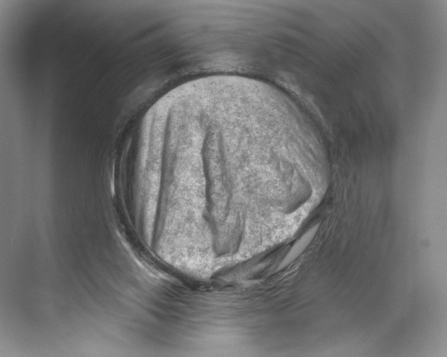 X0000068850062200606021745
