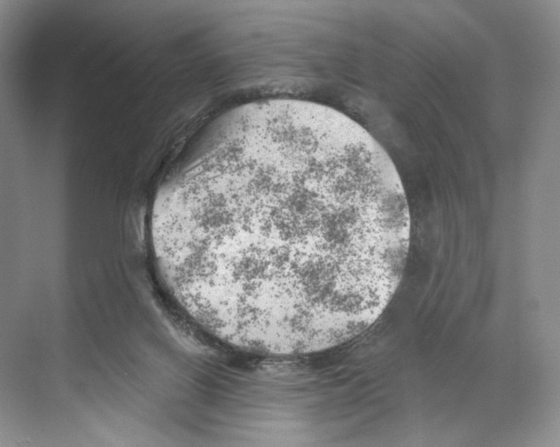 X0000068850070200606021745