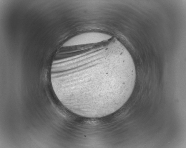 X0000068850071200606021745