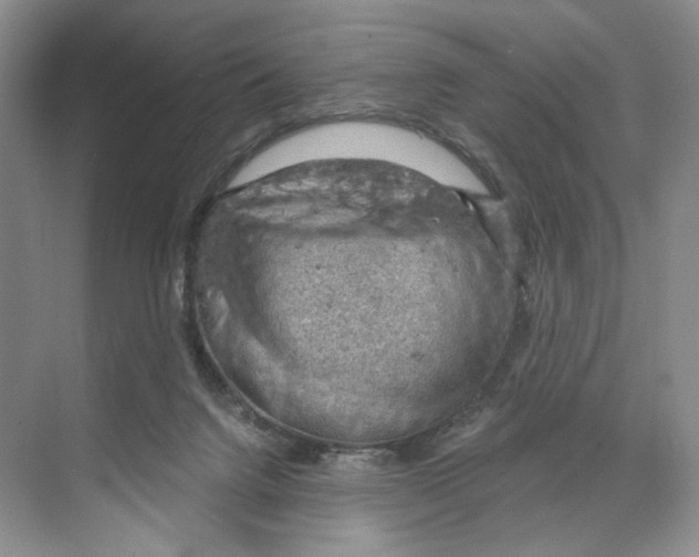 X0000068850072200606021745