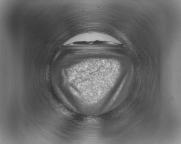 X0000068850073200606021745