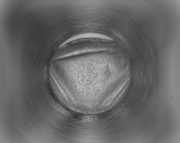 X0000068850077200606021746