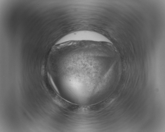 X0000068850080200606021746