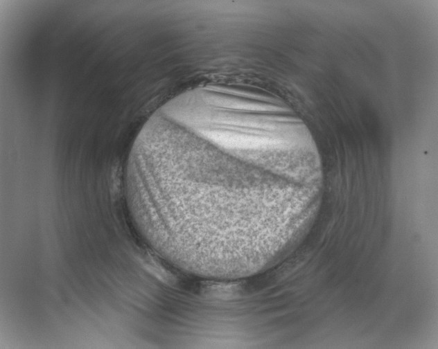 X0000068850081200606021746