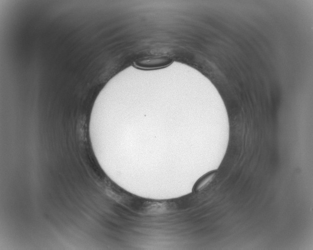 X0000068850083200606021746