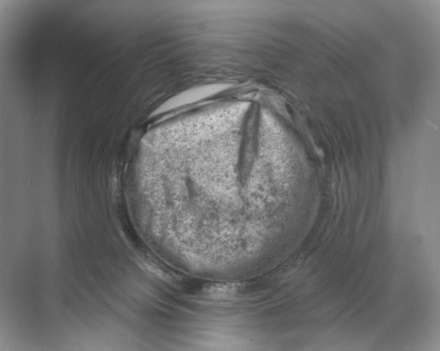 X0000068850084200606021746