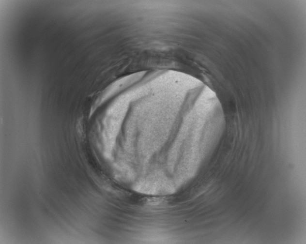 X0000068850088200606021746