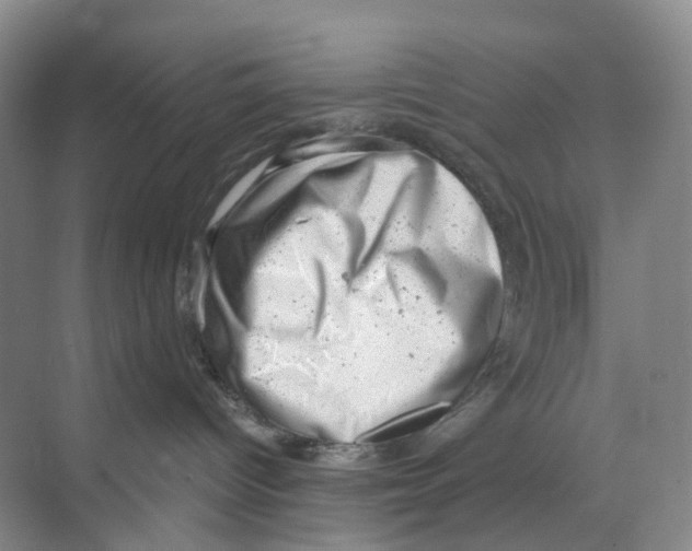 X0000068850096200606021746