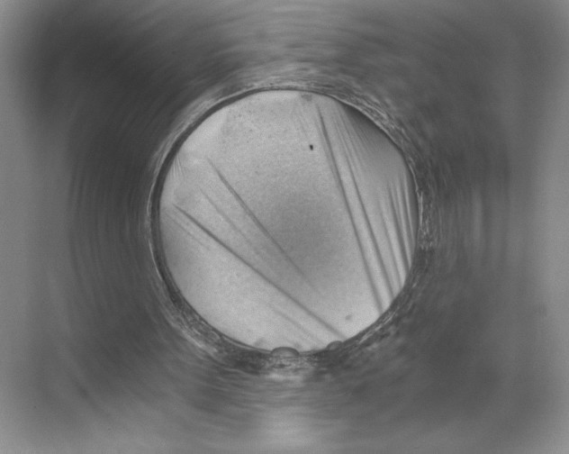 X0000068850099200606021745