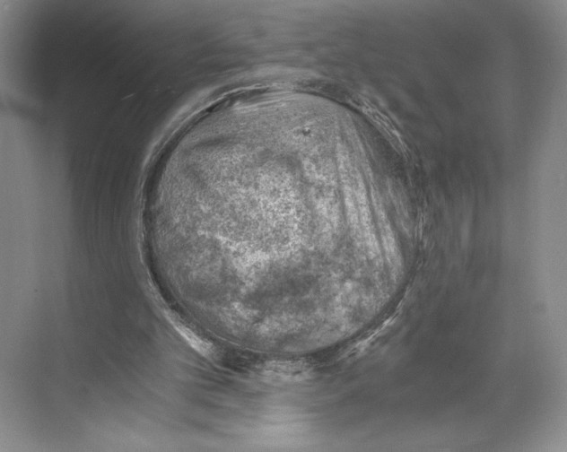 X0000068850101200606021745