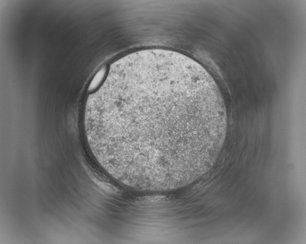 X0000068850108200606021745