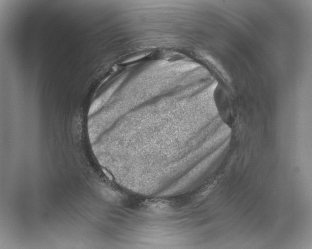 X0000068850113200606021745