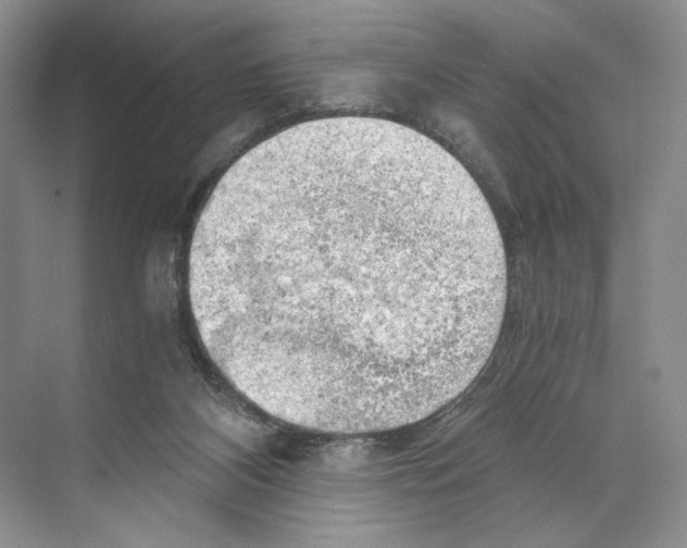 X0000068850116200606021745