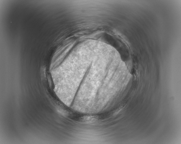 X0000068850117200606021745