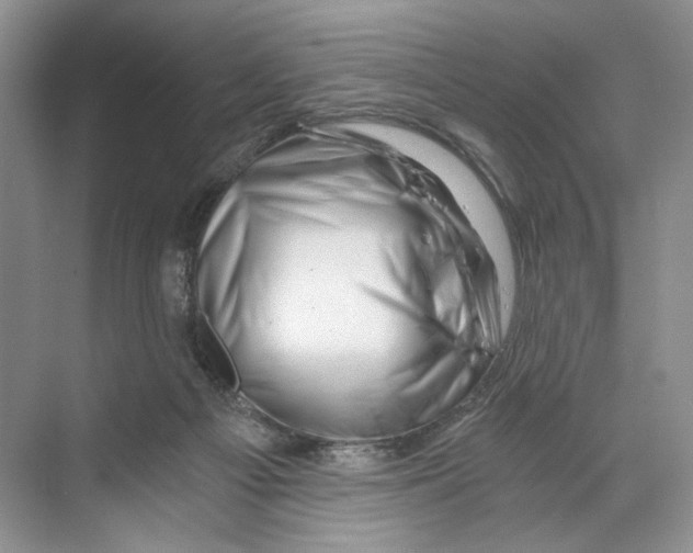 X0000068850121200606021745
