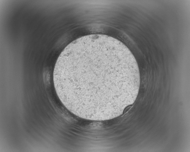 X0000068850124200606021745