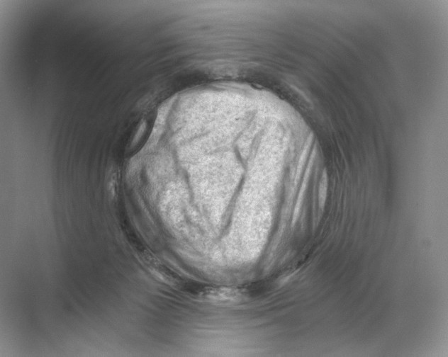 X0000068850125200606021745