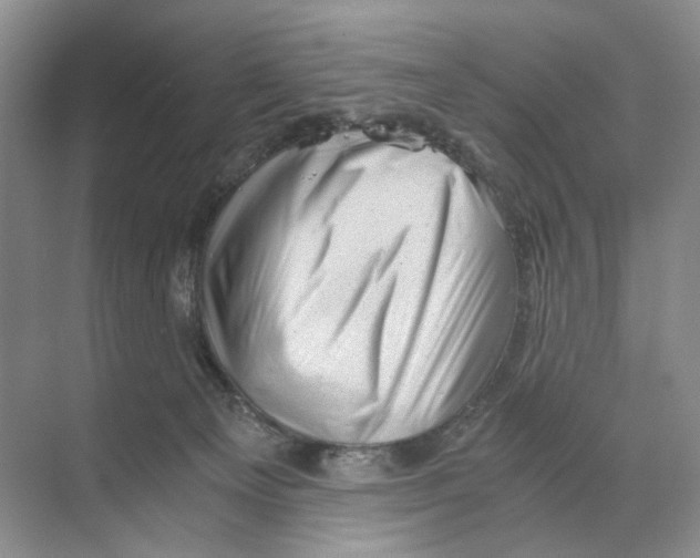 X0000068850129200606021745