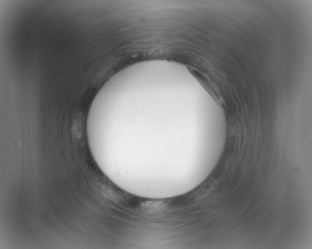 X0000068850133200606021744