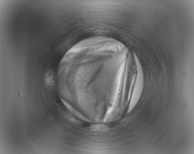 X0000068850137200606021744