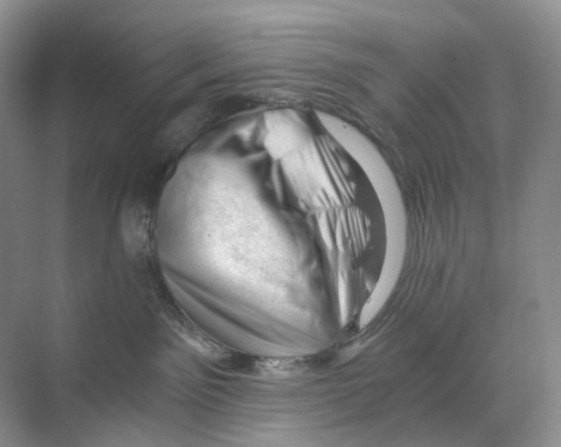 X0000068850141200606021744