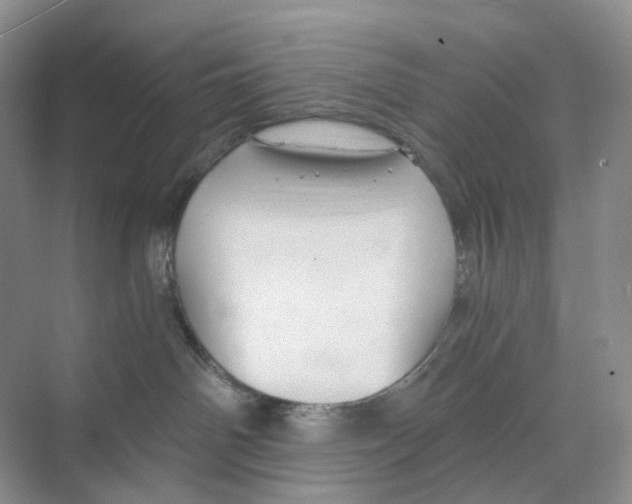 X0000068850142200606021744