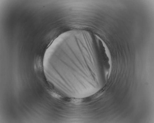X0000068850143200606021744