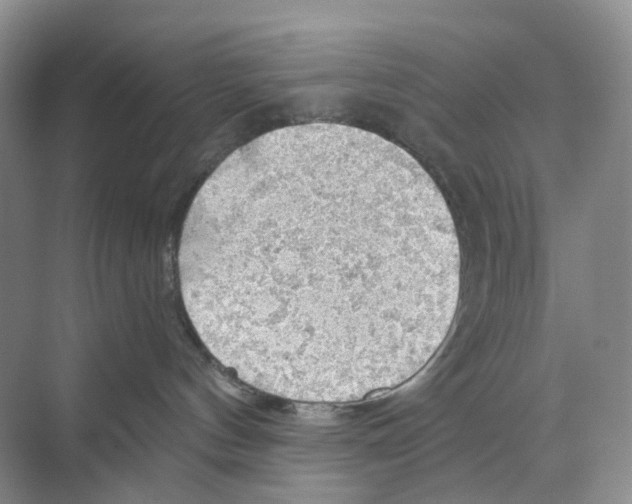 X0000068850144200606021744