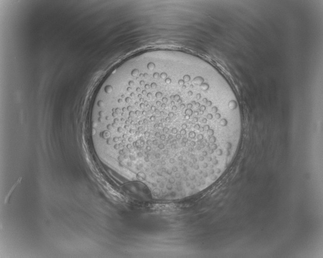 X0000068850145200606021743