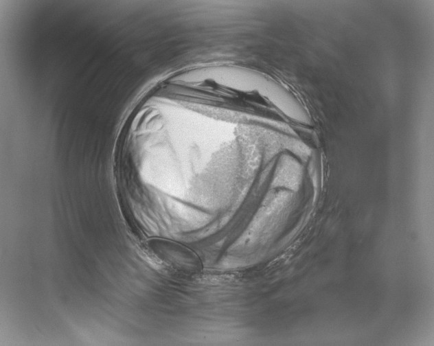 X0000068850147200606021743