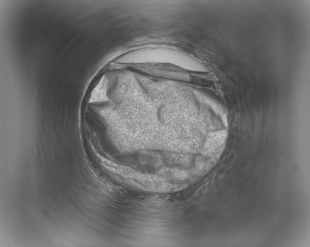 X0000068850148200606021744