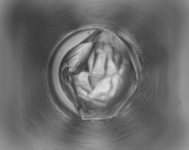 X0000068850156200606021744