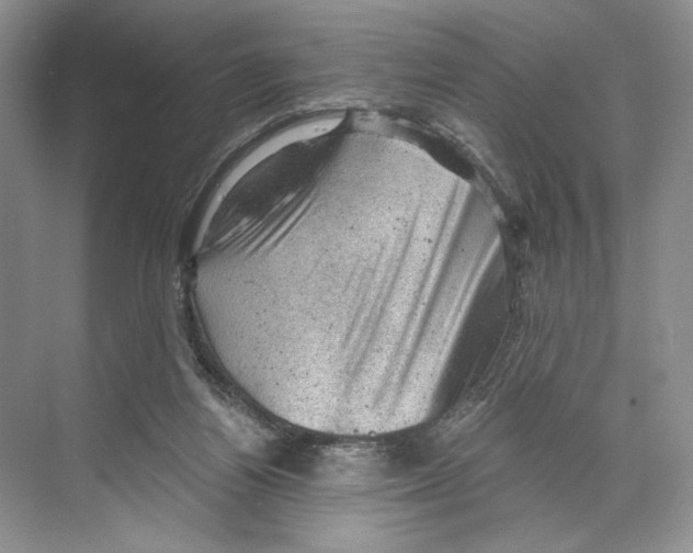 X0000068850164200606021744