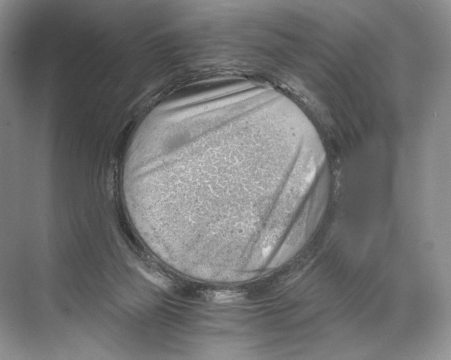 X0000068850165200606021744