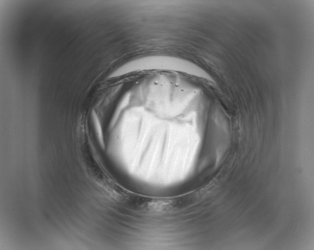 X0000068850172200606021744