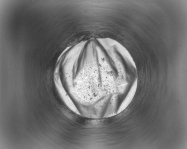 X0000068850184200606021744