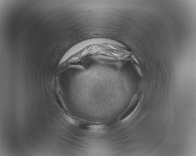 X0000068850192200606021744