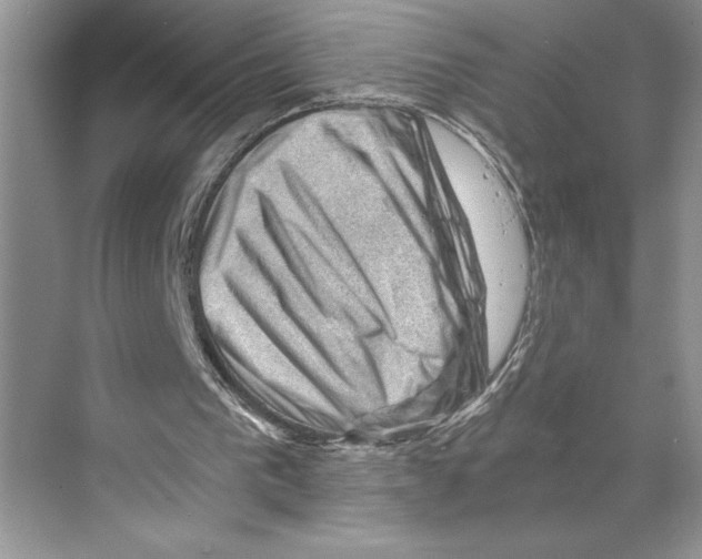 X0000068850193200606021743