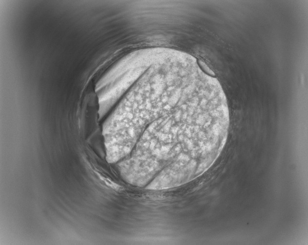 X0000068850194200606021743