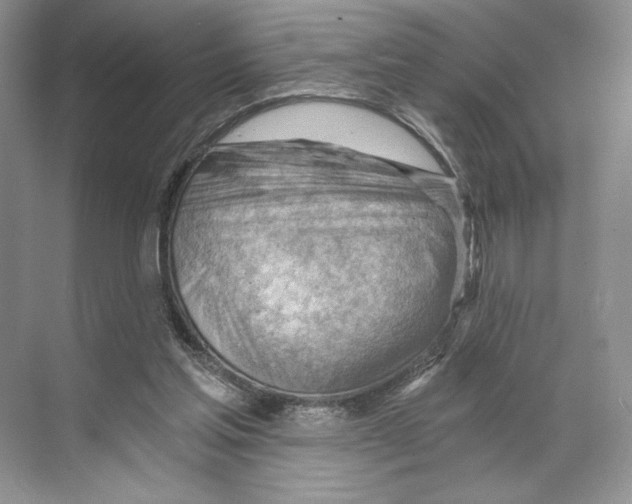 X0000068850205200606021743