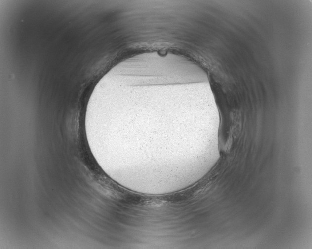 X0000068850206200606021743