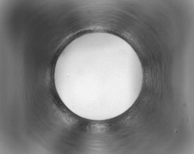 X0000068850208200606021743