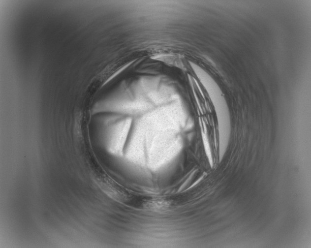 X0000068850217200606021743