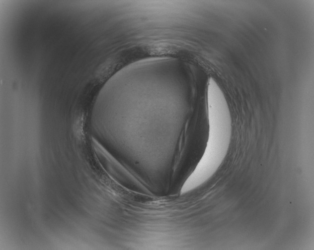 X0000068850219200606021743