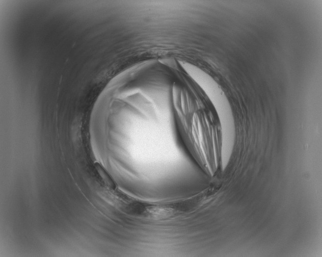 X0000068850221200606021743