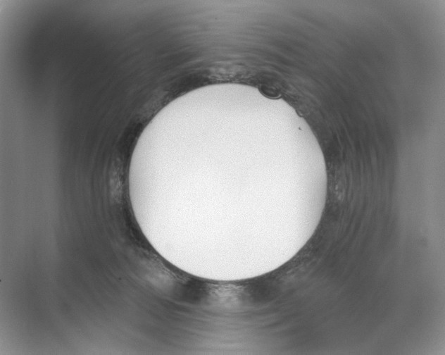 X0000068850226200606021743