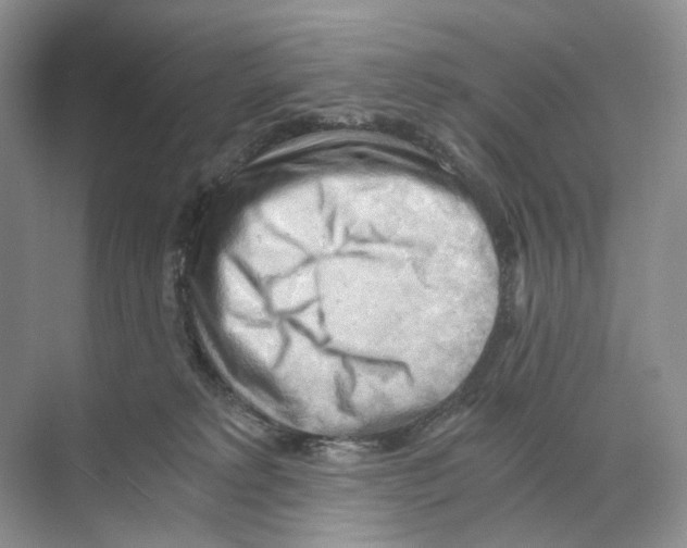 X0000068850229200606021743