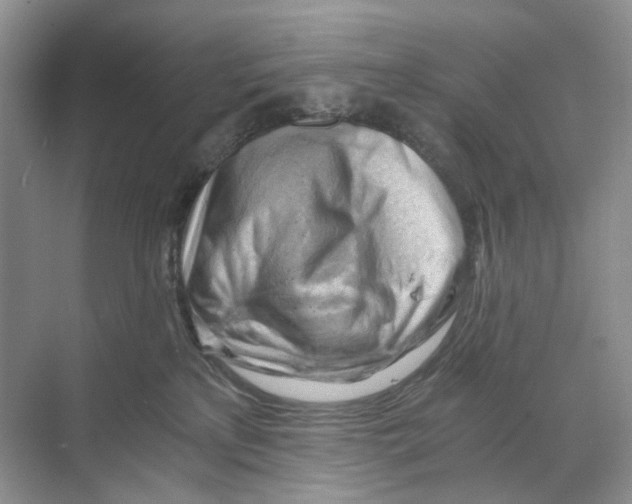 X0000068850233200606021743