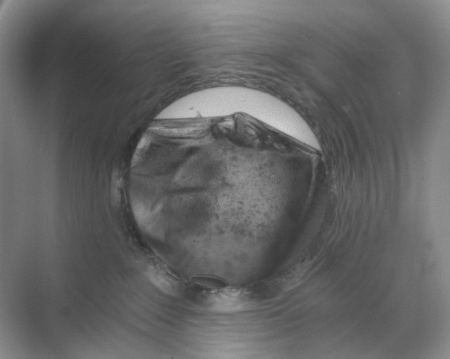 X0000068850235200606021743