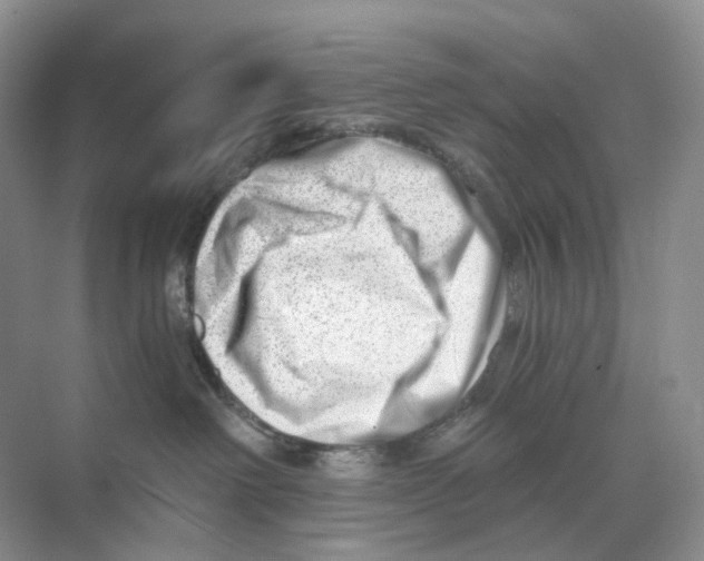 X0000068850238200606021743
